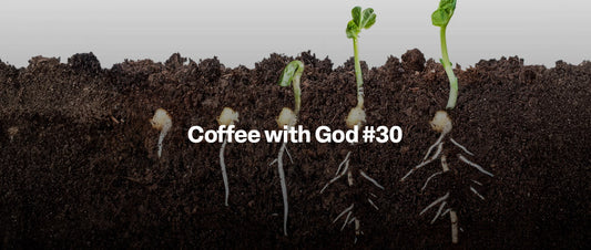 Why Keep Planting, Even When No One Sees